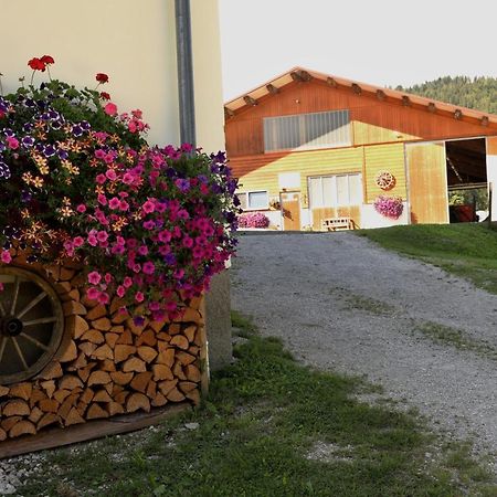Appartamento Stapflhof Bad Aussee Esterno foto