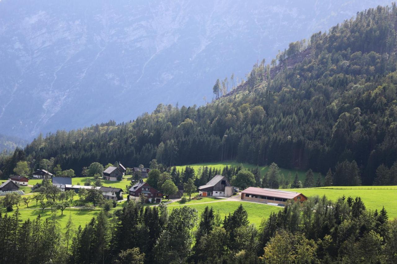 Appartamento Stapflhof Bad Aussee Esterno foto