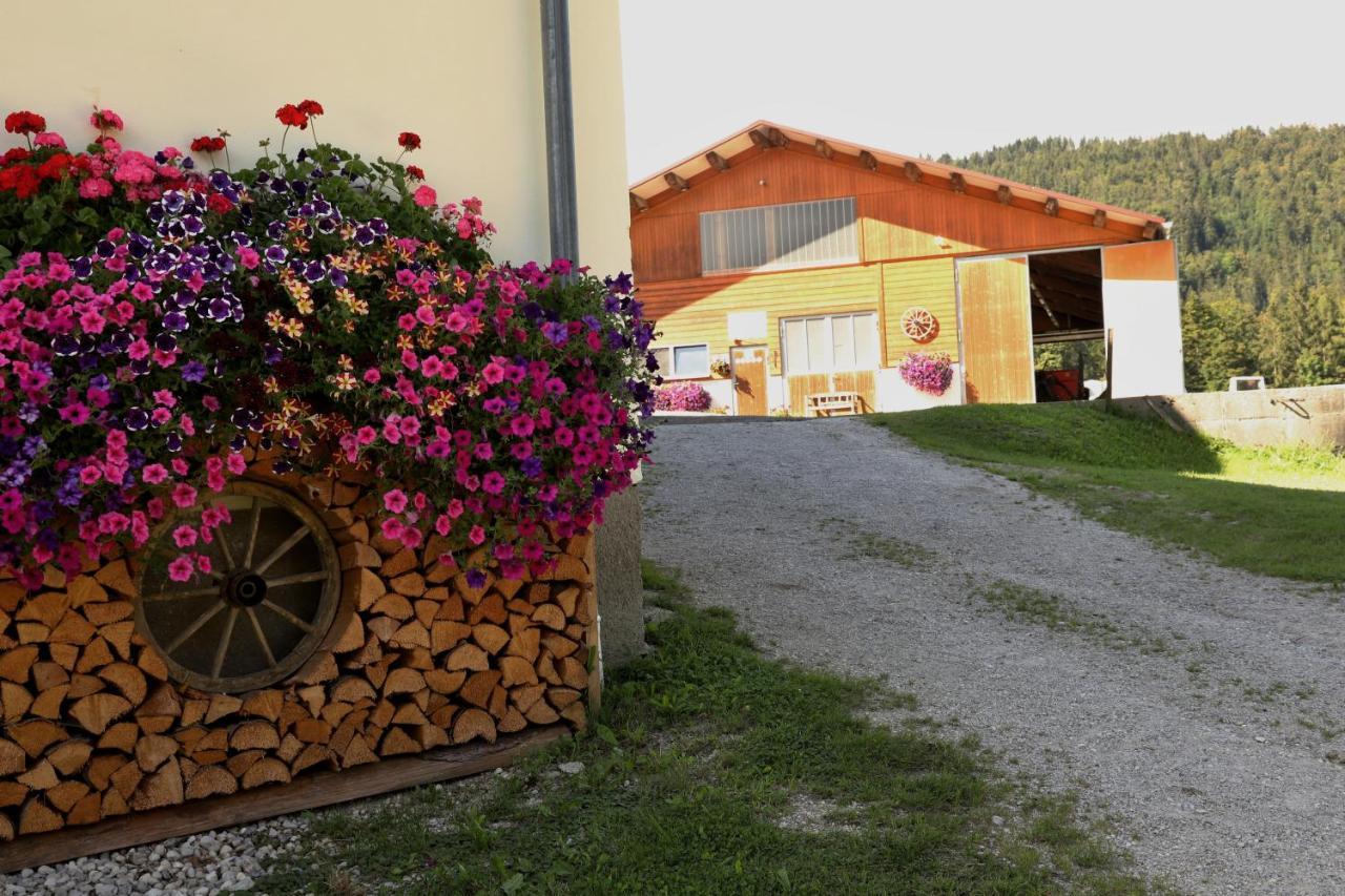 Appartamento Stapflhof Bad Aussee Esterno foto